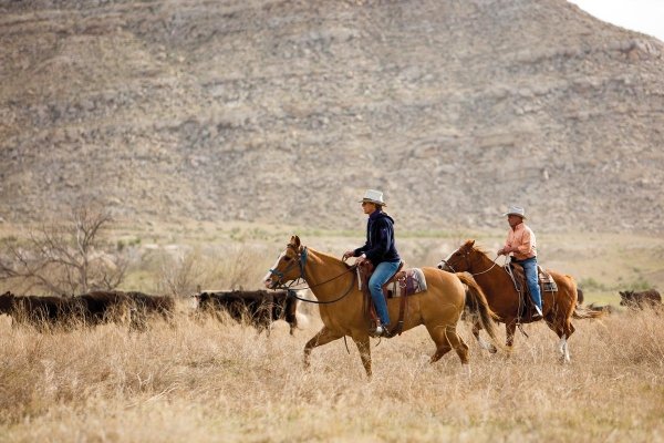 Photo of Kate and Brad Mead on horseback on their cattle ranch.