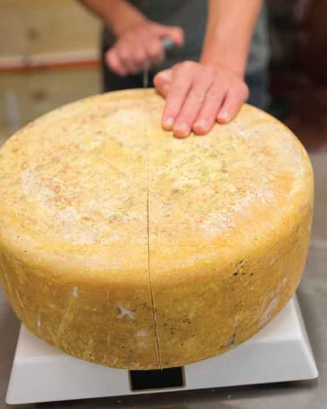 A person cuts a large wheel of golden cheese as it sits on a scale.
