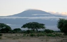 A photo of a landscape in Kenya, trees in the foreground, and a mountain in the background.
