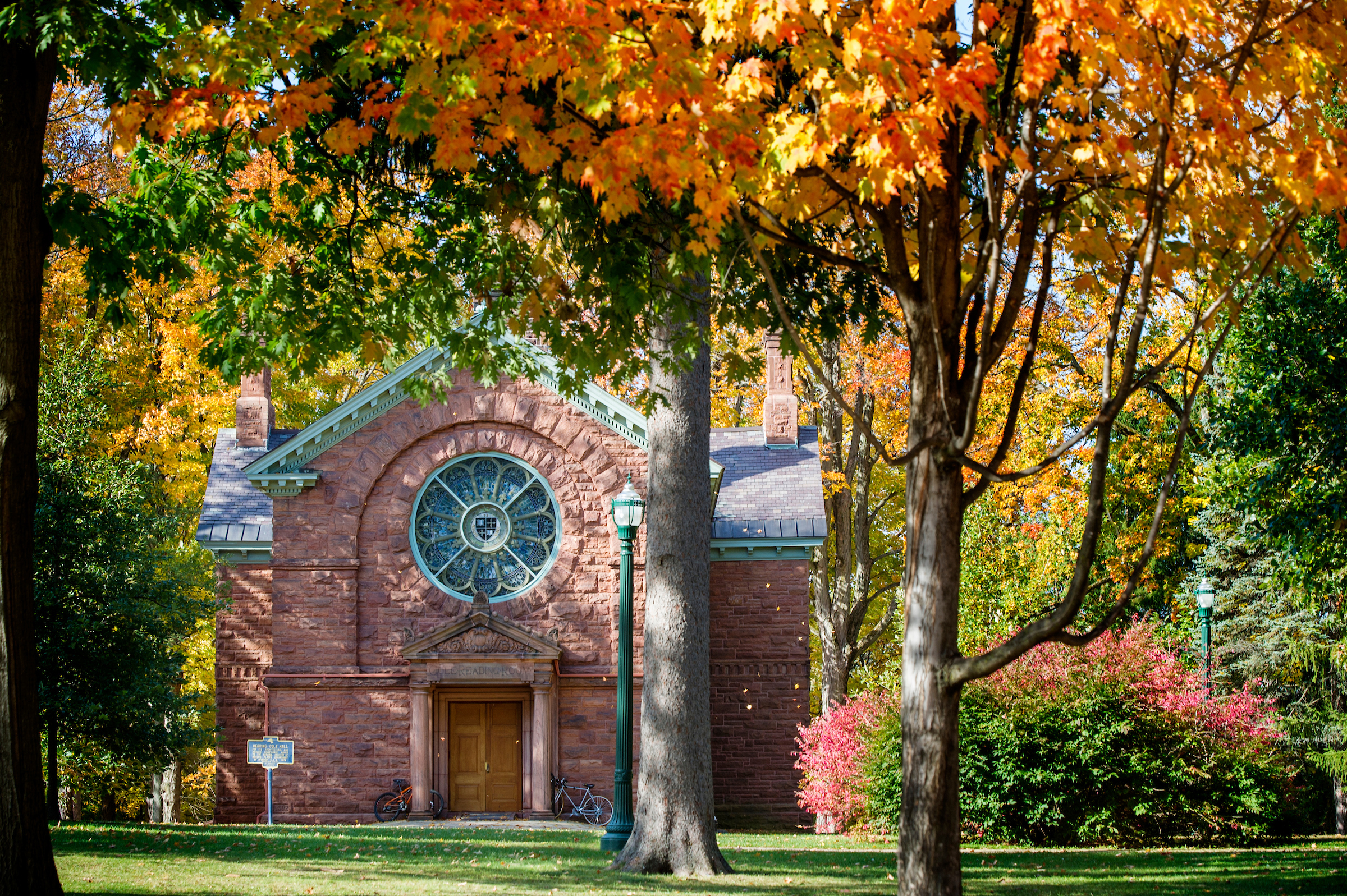View of Herring-Cole Library in fall.