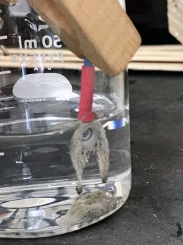 electrode during plating