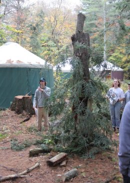 Not a Tree John Bernhardt