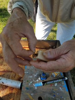 Person working with bees