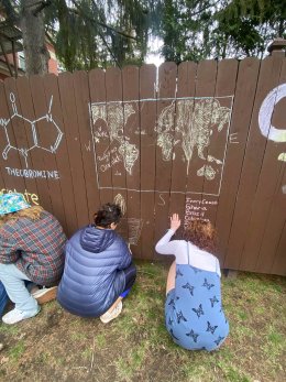 Three Saint Lawrence University students use chalk to draw a map of the world on a brown fence.