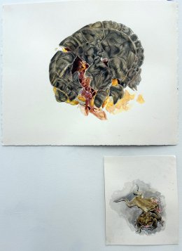 Anthropocene - Evelyn Albrecht