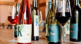 Knapp Winery in Romulus, NY