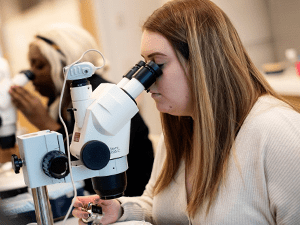 A student peers into a white and black microscope and holds a counting device in their hand while they conduct research.