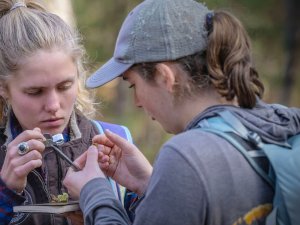 Two Saint Lawrence University students closely examine a natural specimen outdoors, using a magnifier and field notebook.