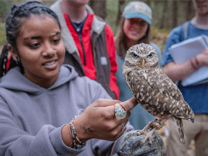 A student gently touches a small owl during an outdoor learning activity.