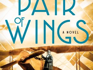 A Pair of Wings by Carole Hopson