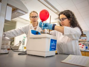 Two people in a science lab at Saint Lawrence University wear lab coats, gloves, and safety glasses while operating a benchtop instrument. One person holds tubing connected to a red balloon as they work together to monitor the experiment.