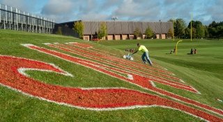 Person coloring in lettering on soccer field