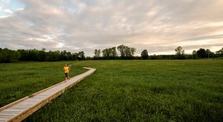 Person jogging on a wooden path