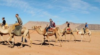 Students riding camels
