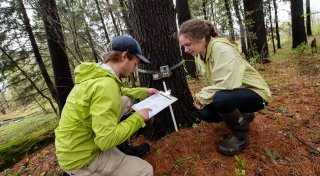 Two students working in the field