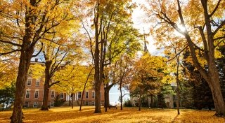 A campus scene at Saint Lawrence University shows tall trees with golden autumn leaves. Sunlight filters through the branches, casting shadows on the ground covered in fallen leaves. In the background, a brick building with white columns and a stone chapel with a tall spire are visible.