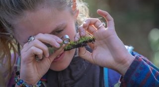Student closely examines a piece of moss with a magnifier during an outdoor lab at Saint Lawrence University.