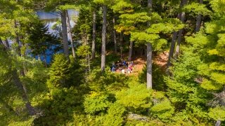 Students walking in the woods