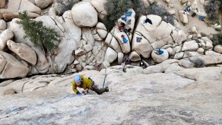 An overhead view of students climbing up rocks at Joshua Tree.