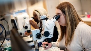 Students doing work in lab