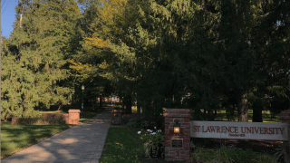Looking up at a tree-lined path near the Saint Lawrence University entryway. 