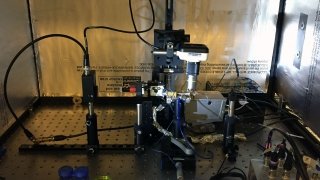 Near-field scanning optical microscope