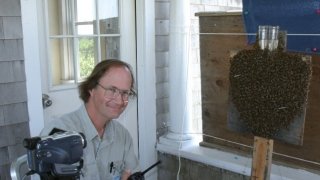 Dr. Thomas D. Seeley