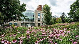 Johnson Hall of Science in the background with purple wildflowers in the foreground