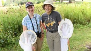 Two students stand in a field of wildflowers holding bug nets. 