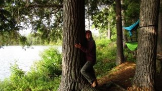 Bri hugs a white pine on the shores of Massawepie.