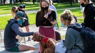 Four Saint Lawrence University students, wearing masks, stand outside on a sunny day and pet a small brown dog wearing a red harness. 