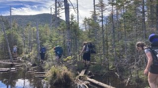 Arcadians practice their balance beam skills in a beaver pond.
