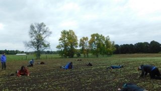 Arcadians take part in strange activities at Essex Farm.
