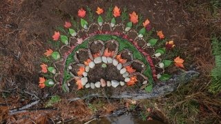 Imperfect Equilibrium Sage Lalor