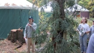 Not a Tree John Bernhardt