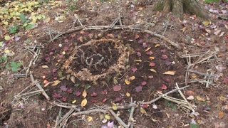 The Circle of Sun Kai Oakley Richter