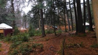 Arcadia during a cold November rain with wood stoves smoking.