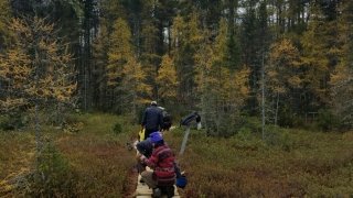 Bri and Robertson lay down and hammer in new boards for the fresh boardwalk.