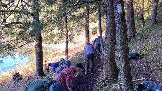 John, Cara, Ryann, Kai, and Roisin use saws, hoes, shovels, and Arcadian spirit to widen the white trail along Massawepie Lake.