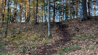 The finished segment of new trail connecting the white and yellow trails and allowing easier access.