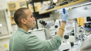A Saint Lawrence University student, wearing a lab coat, examines a vial in a research lab. 
