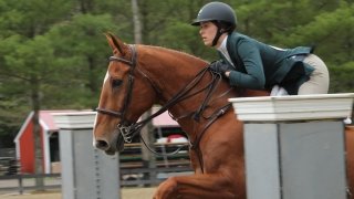 A woman and chestnut horse jumping over an obstacle