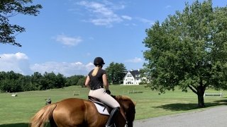 A woman riding a chestnut horse outside on a sunny summer day