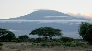 A photo of a landscape in Kenya, trees in the foreground, and a mountain in the background.