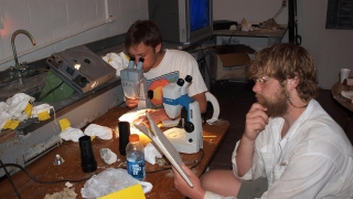 Students in lab
