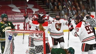 Hockey players celebrating goal