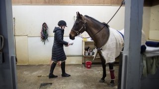 A student, bundled up in a winter coat, caring for a horse on crossties