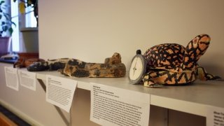 Conservation In Clay projects