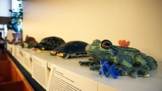 Conservation In Clay projects