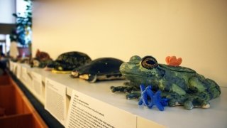 Conservation In Clay projects